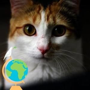 Meet your Posher, Hongyan